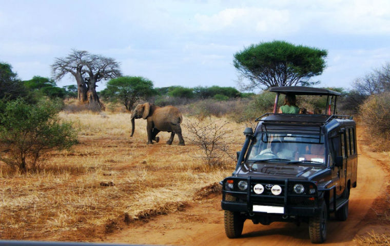 landcruiser tanzania safaris