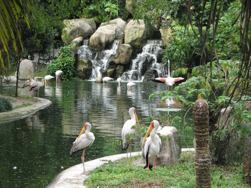 Kuala Lumpur Bird Park 