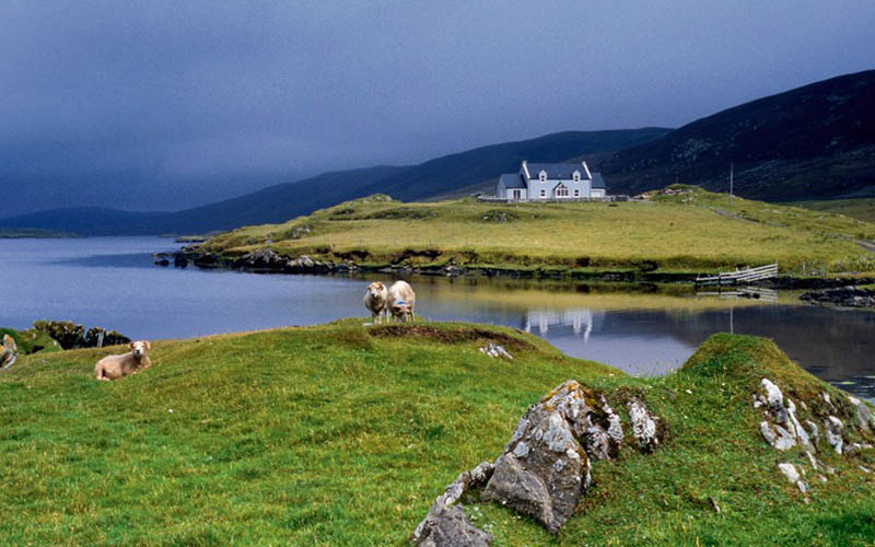 Les Shetlands cosse Royaume Uni