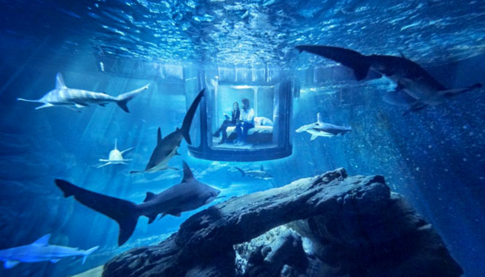 underwater world pic