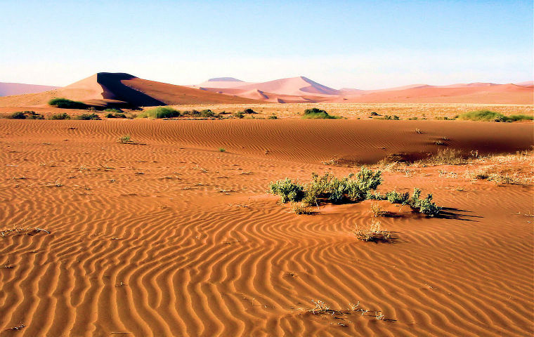 dsert de Namib wikipdia