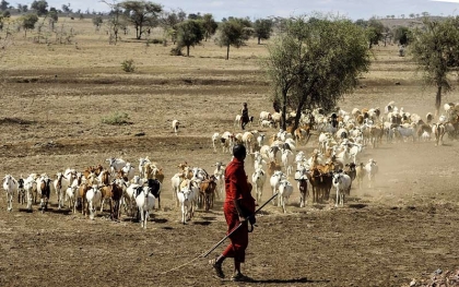 La culture en Tanzanie