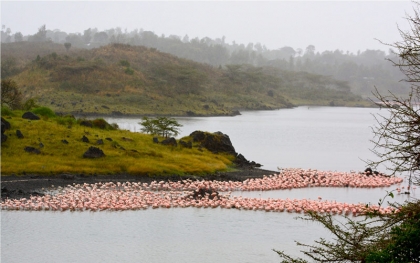 Arusha Tanzanie