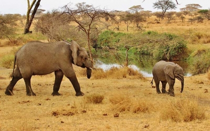 Le tourisme en Tanzanie