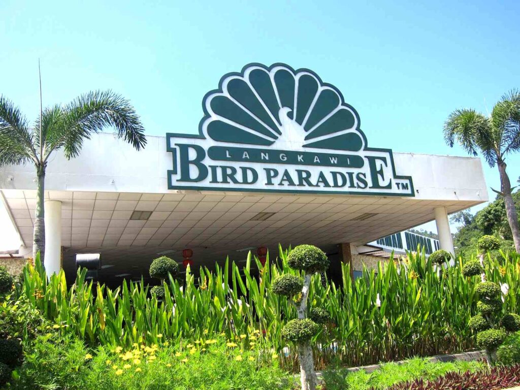 Bird Paradise
