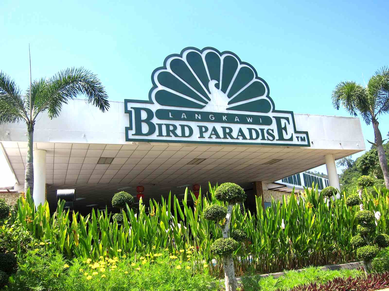 Bird Paradise