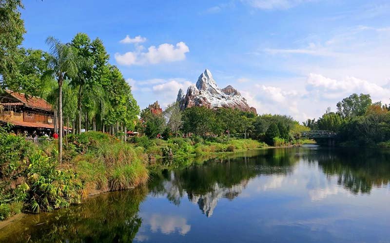 disney s animal kingdom