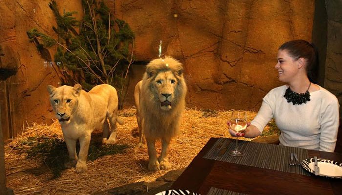 picinterneJamala Wildlife